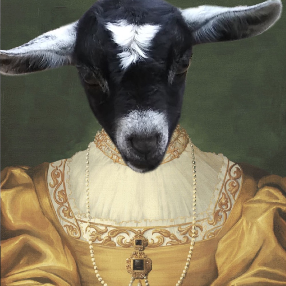 Meet your Posher, Katie